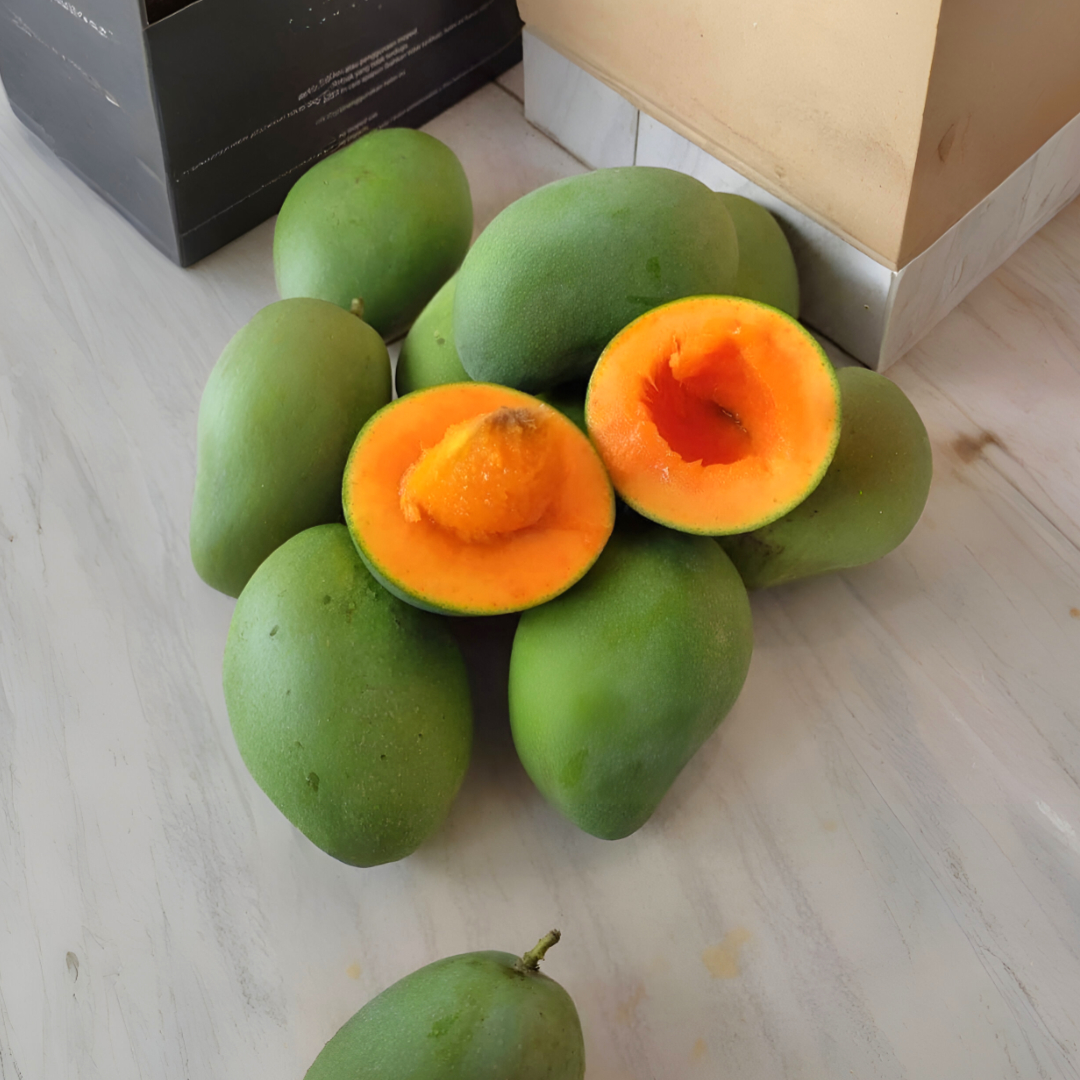 sahabatbintangsejahtera-export-fresh-fruits-mango-clonal.jpg sahabatbintangsejahtera-export-fresh-fruits-mango-clonal.jpg