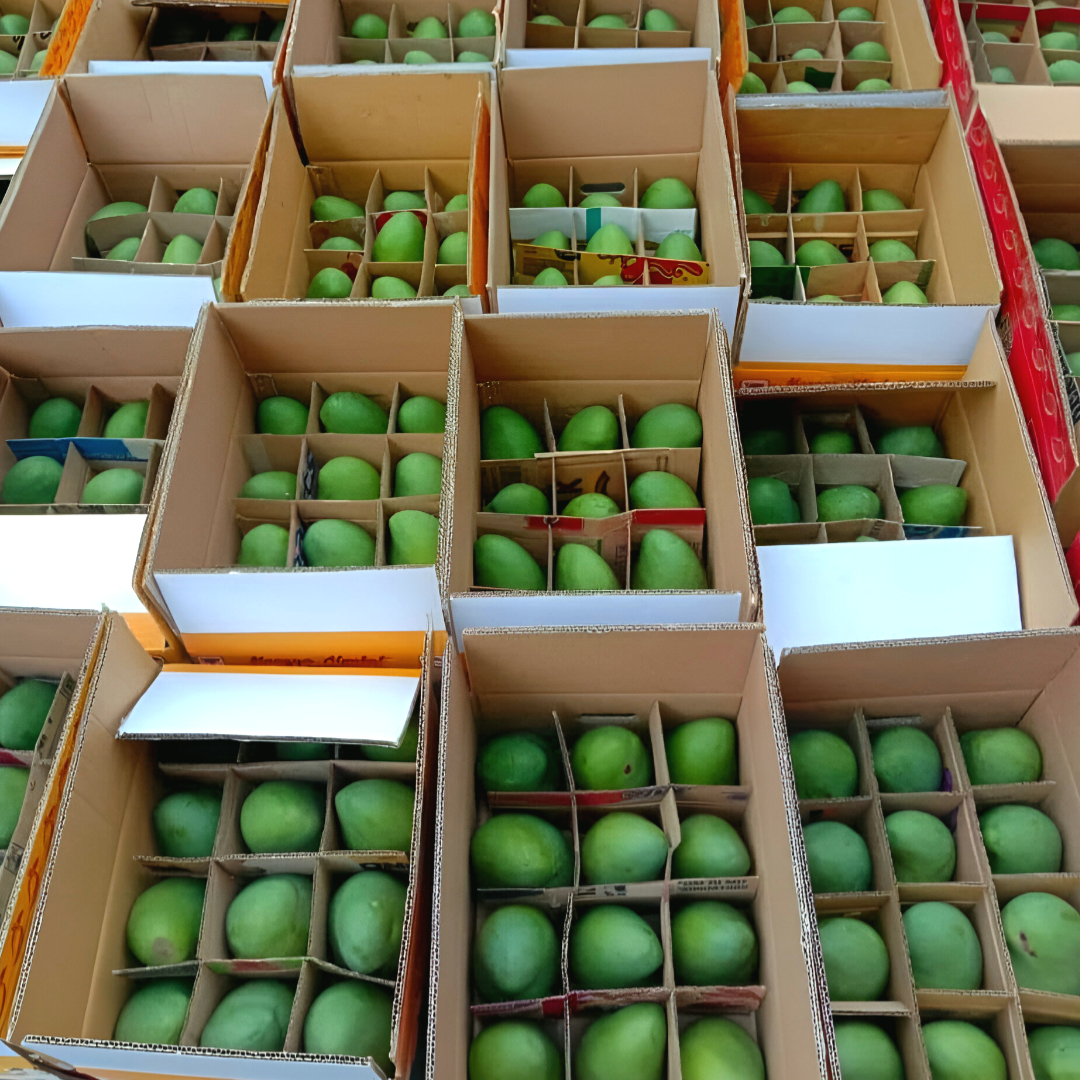 sahabatbintangsejahtera-export-fresh-fruits-mango-packaging.jpg sahabatbintangsejahtera-export-fresh-fruits-mango-packaging.jpg