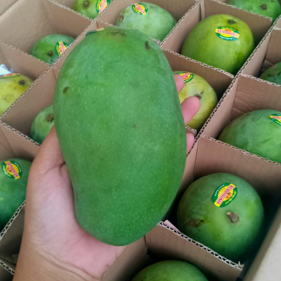 sahabatbintangsejahtera-export-fresh-fruits-mango.jpg sahabatbintangsejahtera-export-fresh-fruits-mango.jpg
